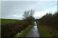 Wet and icy path towards Ponteland