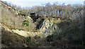 SJ6409 : Disused quarry on south side of The Ercall by Trevor Littlewood