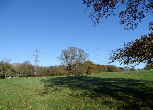View of Tower Wood in late autumn