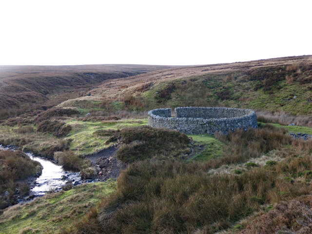 Sheepfold at the confluence of Black Burn and Henshaw Burn