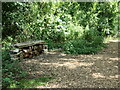 Wood and stone bench, Foss Fairy Trail, York