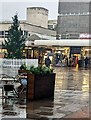 Christmas Tree in Cwmbran town centre