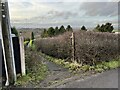 Public footpath off Boon Hill Road