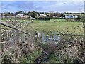 Two Saints Way looking towards Boon Hill