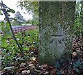 Newsham with Breckenbrough, gatepost