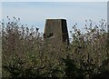 Barnhorn Trigpoint in East Sussex