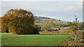 Looking over fields North of Baucott Farm