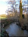 TQ5925 : River Rother by Simon Carey