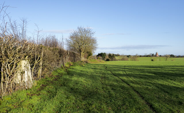 Hedge with embedded trig point