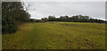 Footpath near Romsley