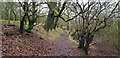 North Worcestershire Path near Waltonhill Farm