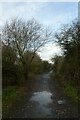 Cycle path in Ponteland