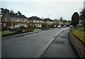 Houses, Rowan Drive