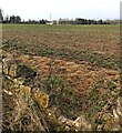 Farmland in winter, Buckover, South Gloucestershire