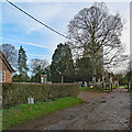 Balsham: approaching Holy Trinity on Church Lane