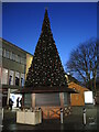 ST5973 : Stall with a big tree by Neil Owen
