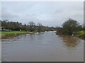 Afon Teifi at Llechryd