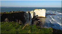 SZ0582 : Chalk cliffs towards Old Harry Rocks by Colin Park