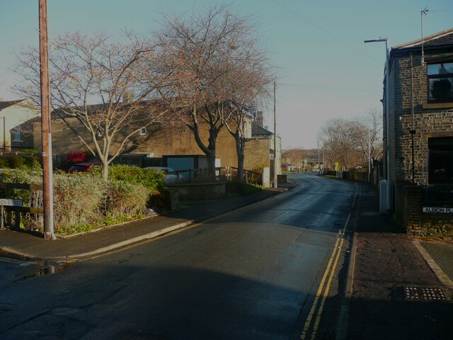 Trees next to Waterloo Road, Brighouse