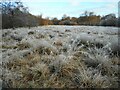 NS5673 : Frosty grassland by Richard Sutcliffe