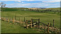 Stile on path between Cowper Cote & lane bridge over Winterburn Beck