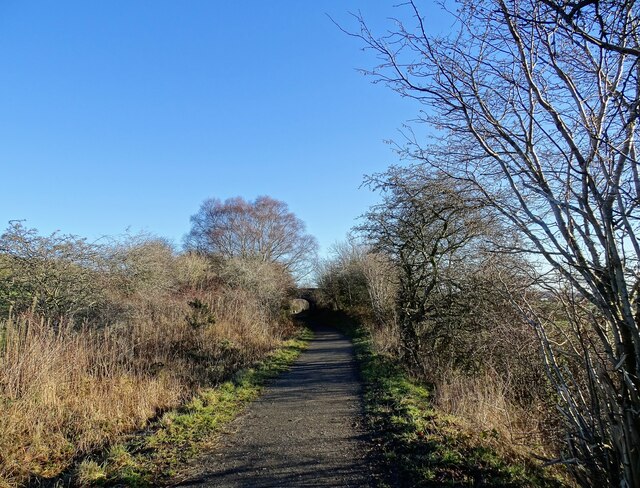 Winter view along the railway path