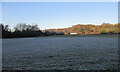 Frosty field near Holmfoot