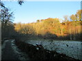 Clyde Walkway below Swinsy Hill