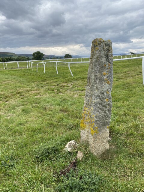 Stone near the Gallops