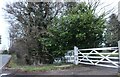 Gate on Thoby Lane, Swallows Cross