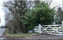 TQ6198 : Gate on Thoby Lane, Swallows Cross by David Howard