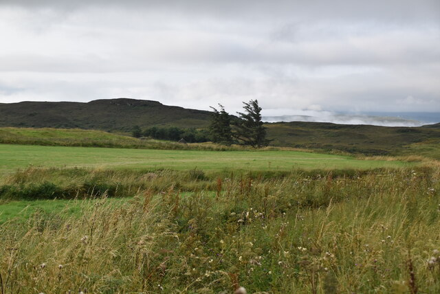 mixed-land-uses-at-earlish-n-chadwick-cc-by-sa-2-0-geograph