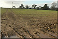 Arable field by Parsonage Cross