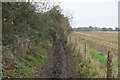 Muddy bridleway