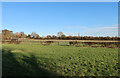 TL3674 : Horse paddocks by Bluntisham by Hugh Venables