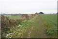 Bridleway on Withy Hill