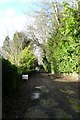 Track near Harefield Hall