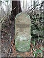 Old Boundary Marker on the edge of Tosber Wood