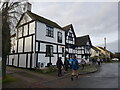 The Old Chestnut Tree, Lower Moor (1)