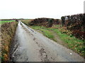 Man pasio ar heol fach / A passing place on a minor road