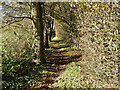 Footpath Reigate 86