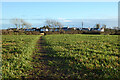 Farmland, Breage