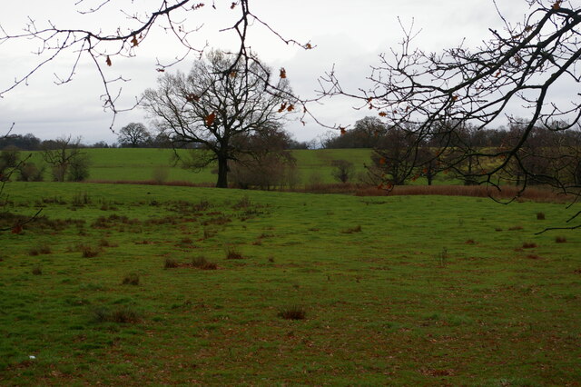 Field north of Brookledge Lane, Adlington
