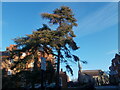 Peterborough Road, Harrow on the Hill - looking towards the church