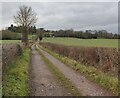 Bridleway heading towards Castle Hill