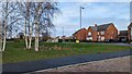 Looking towards the attenuation pond at Whitty Close