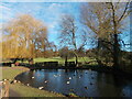 Chalfont St Giles - the village pond