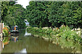 Trent and Mersey Canal north of Brereton, Rugeley