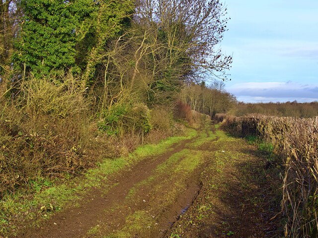 Paddock Lane