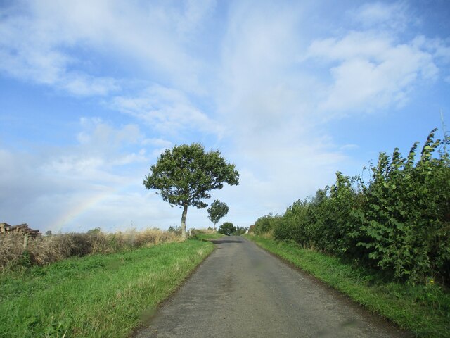 Country  road  toward  Horndean